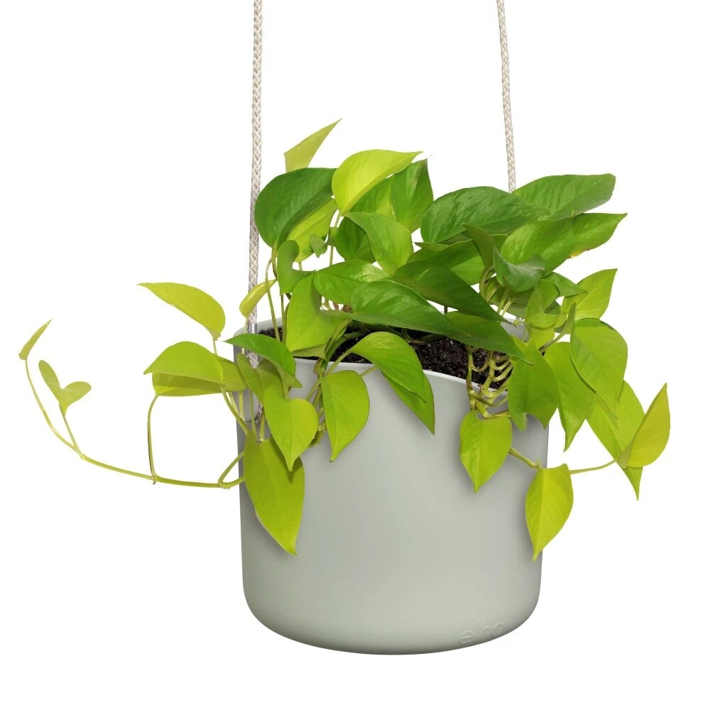 Elho B.for Swing 18 Cm Groen - Afbeelding 4