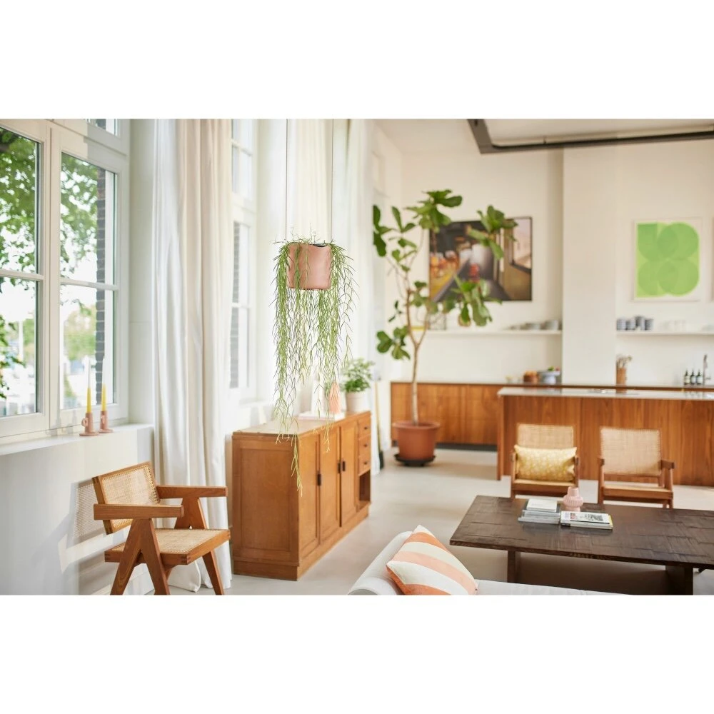 Elho B.for Swing 18 Cm Roze - Afbeelding 8