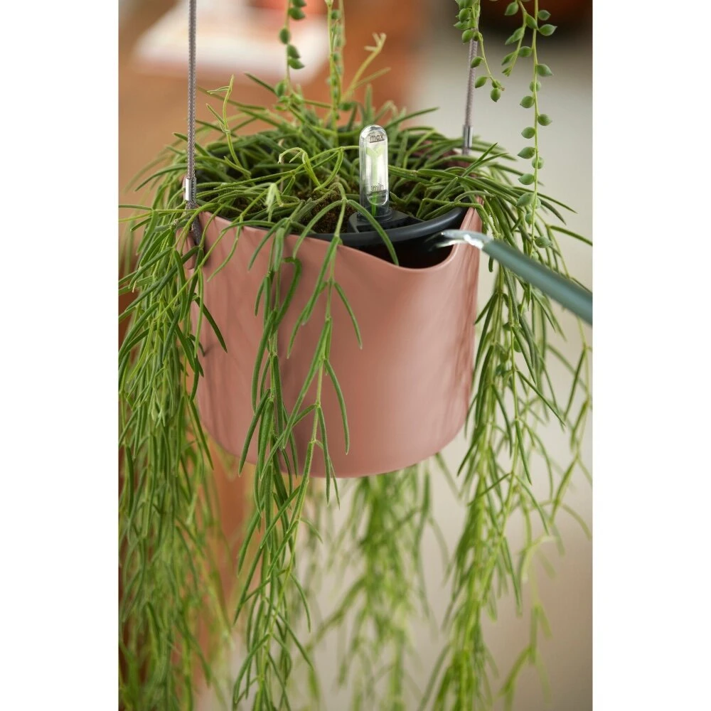 Elho B.for Swing 18 Cm Roze - Afbeelding 9