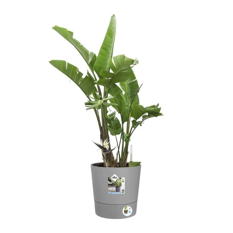 Elho Bloempot Greensense Aqua Care Rond 30cm Grijs - Afbeelding 3