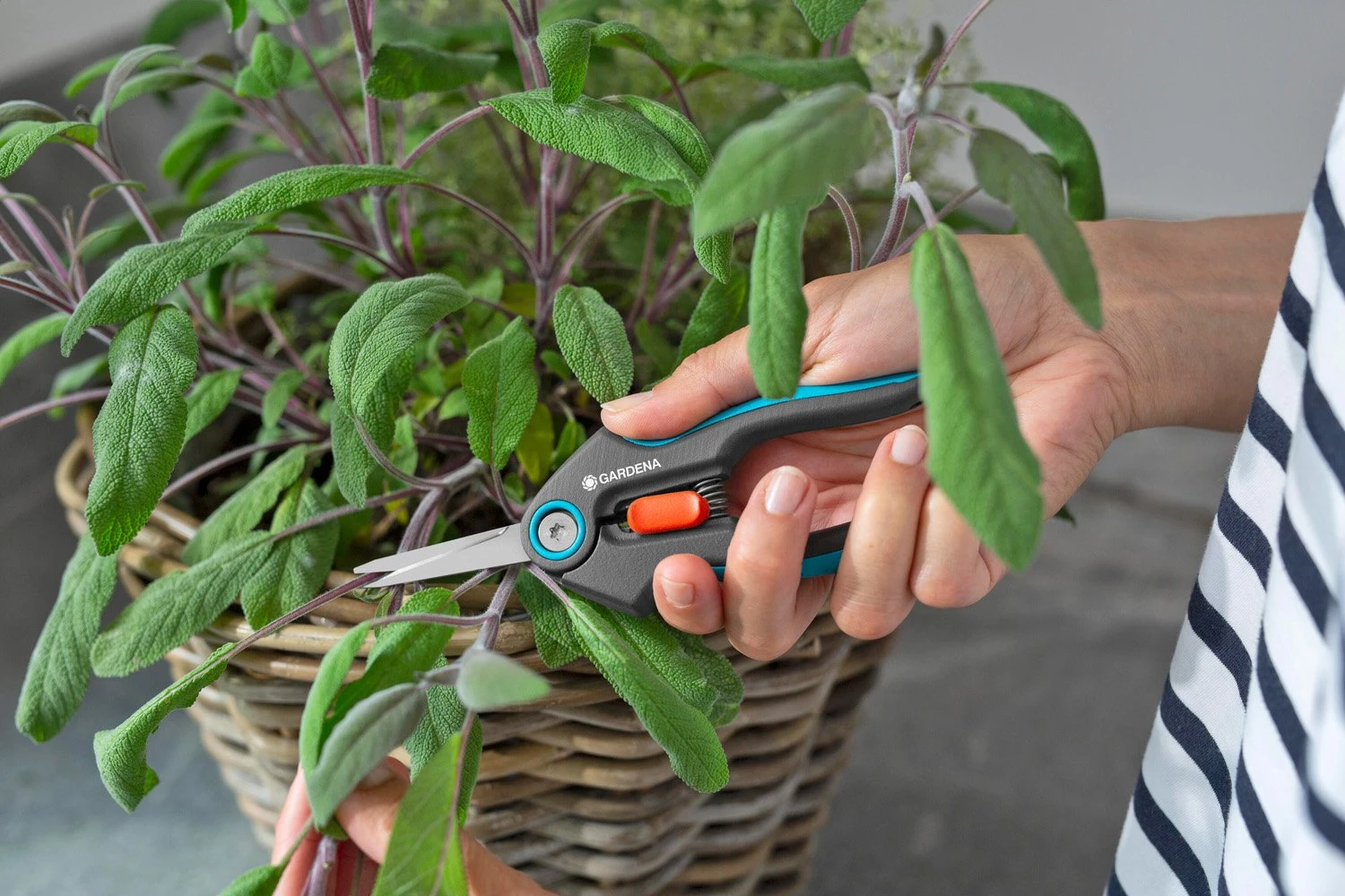 GARDENA FreshCut - Afbeelding 4